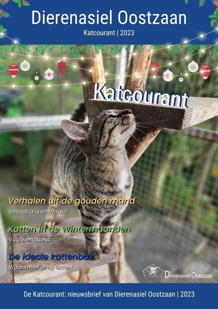 Katcourant 2023 Kerst