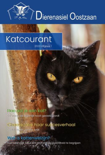 Katcourant 23